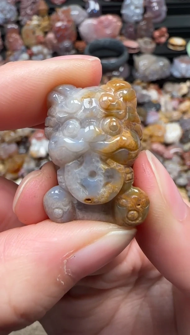 颈饰未镶嵌硅化珊瑚（珊瑚玉）258