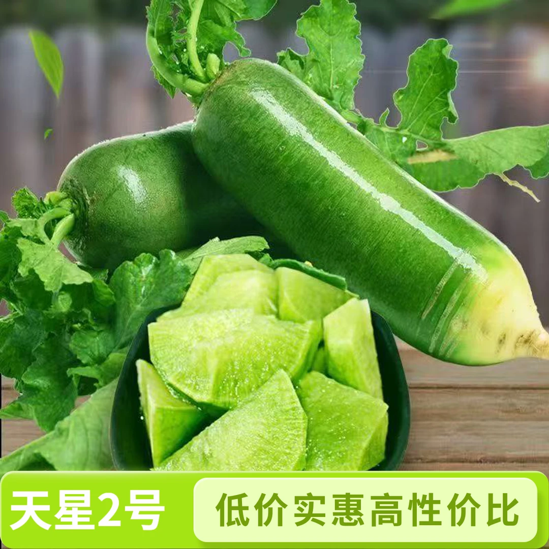 【天星02号】正宗潍县青萝卜水果萝卜甜脆水果型自种生吃
