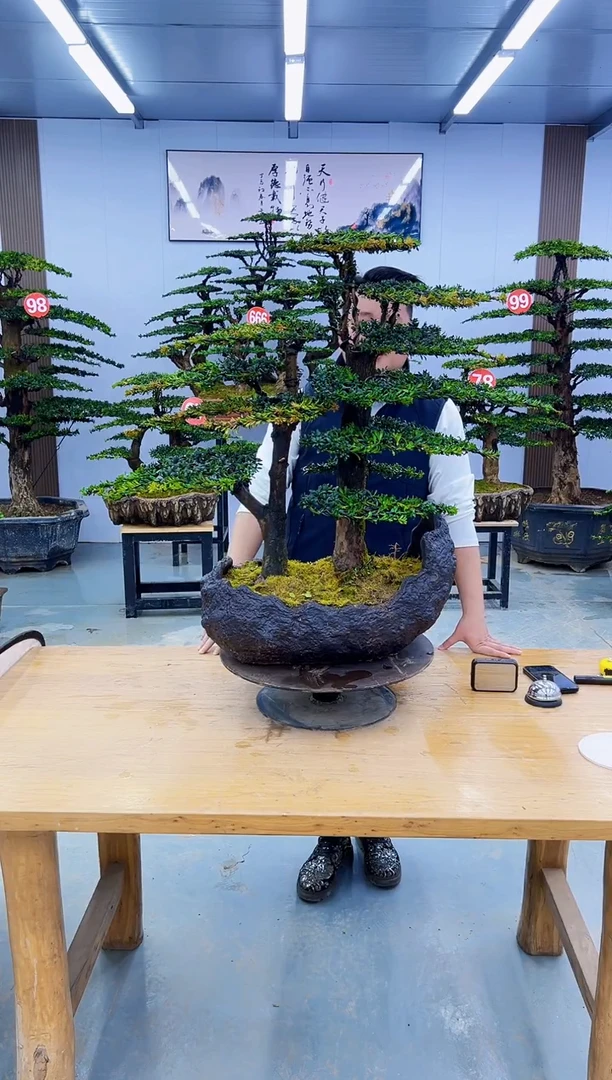 以实际为准000000000