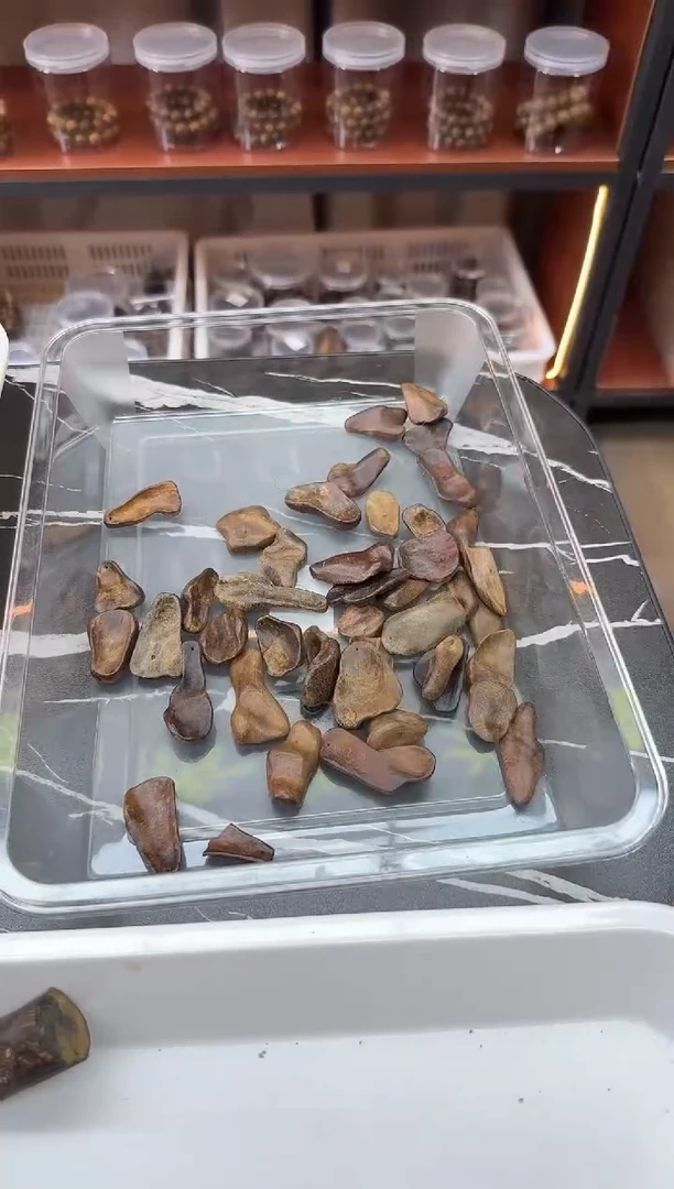 沉香吊坠4号芽庄红油包头多样性发一