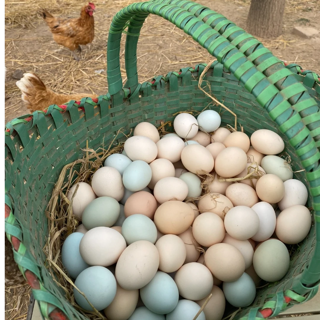 （试吃十枚）60枚农村散养土鸡蛋不土包赔正宗柴鸡蛋笨鸡蛋顺丰发货