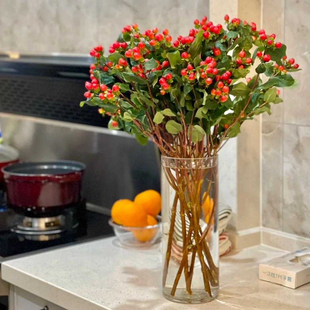 【红红火火】10枝精选品质鲜花  全场任意满两单及以上顺丰包邮包邮 明天送到家