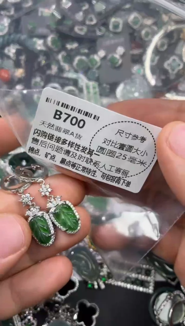 颈饰未镶嵌翡翠B700耳扣