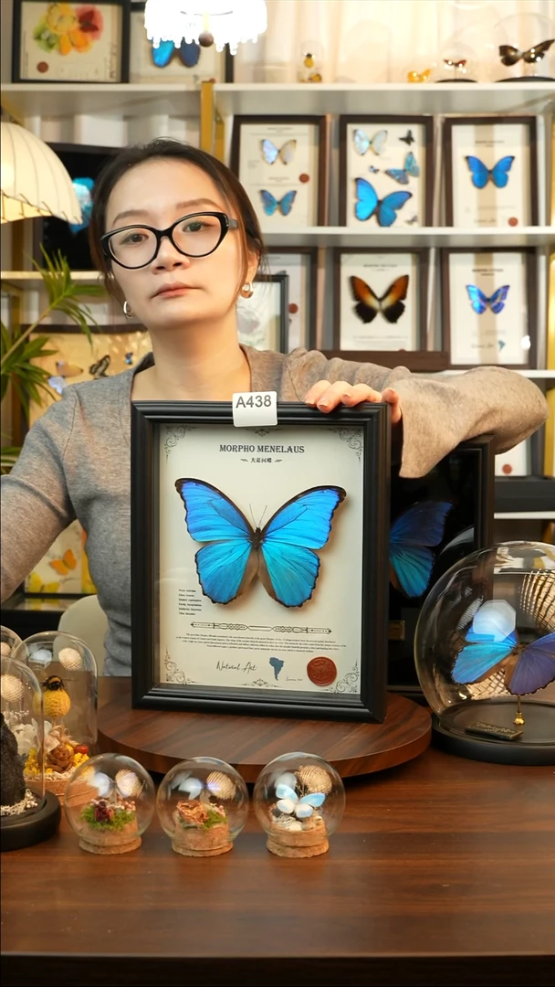 大蓝闪蝶-英文（10寸欧式黑框）A438