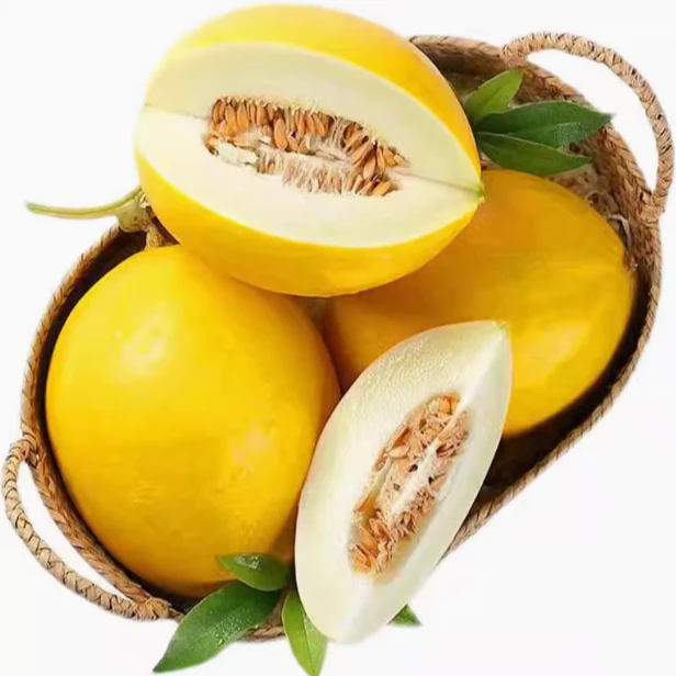 【招牌推荐】金美人冰糖蜜瓜 1个约2斤