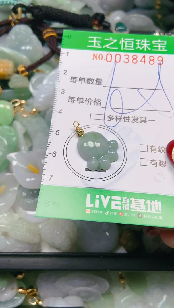 【闪购商品】翡翠颈饰未镶嵌闪购0038489