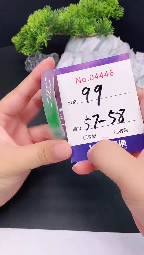 未镶嵌手镯翡翠4446