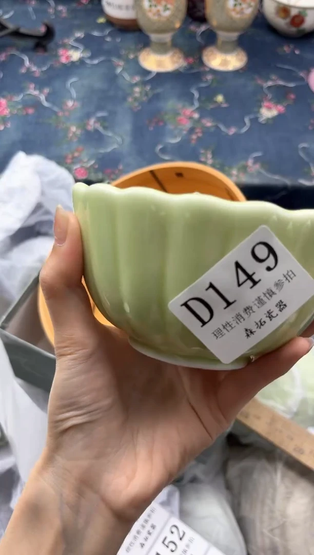 瓷片          D149
