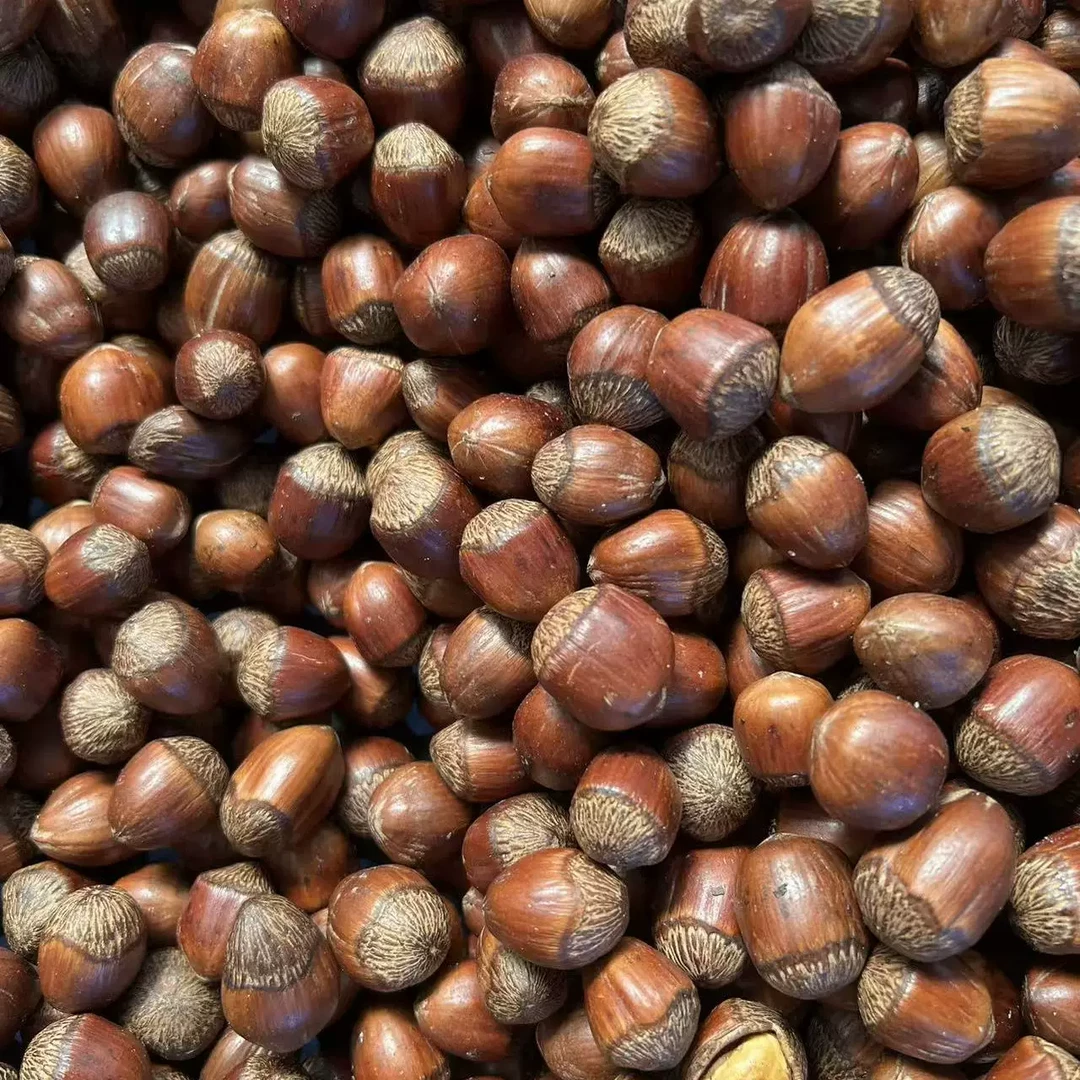 大连溯源铁岭象牙山精品大榛子净重2斤京东送货上门