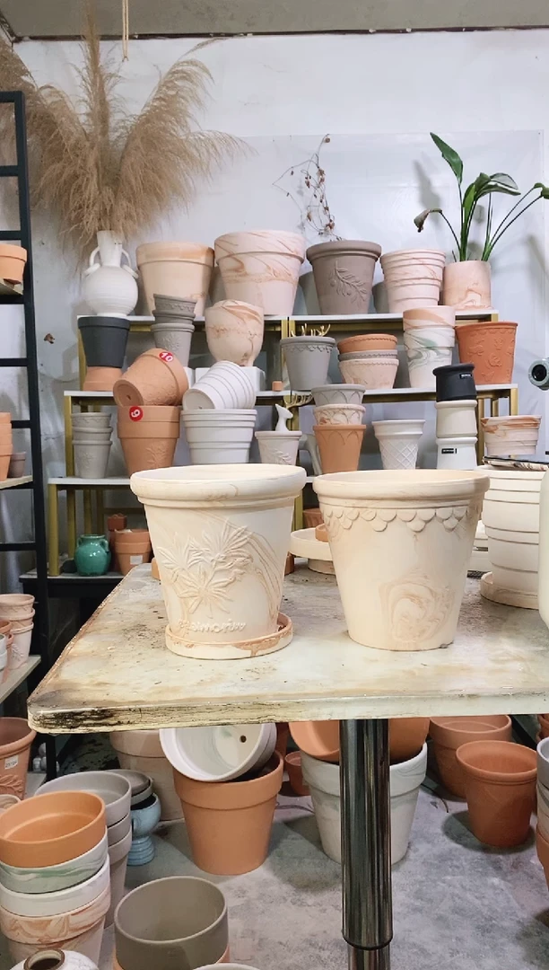 16*15玛奇朵巴洛克+香草组合 2盆2托