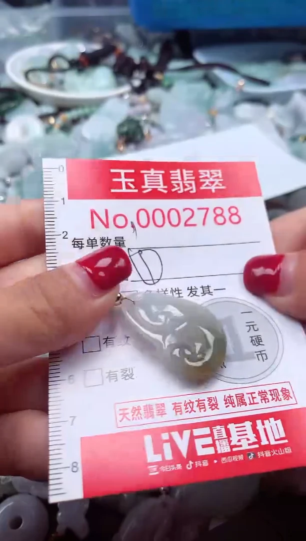 颈饰未镶嵌翡翠2788