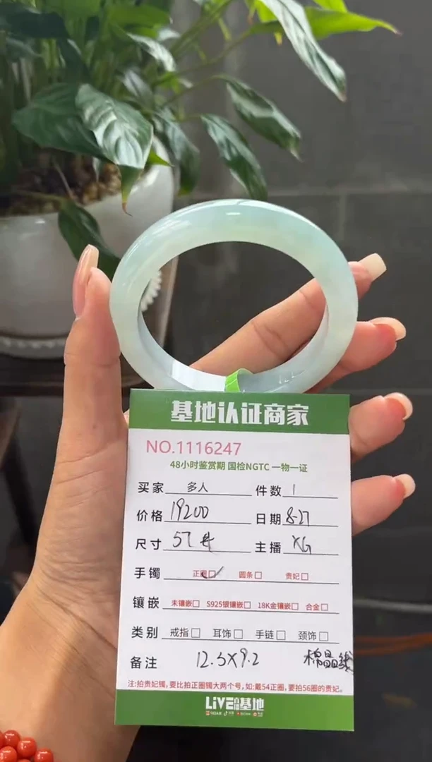 未镶嵌手镯翡翠多人