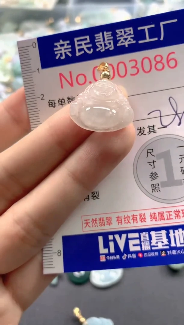 颈饰未镶嵌翡翠3086