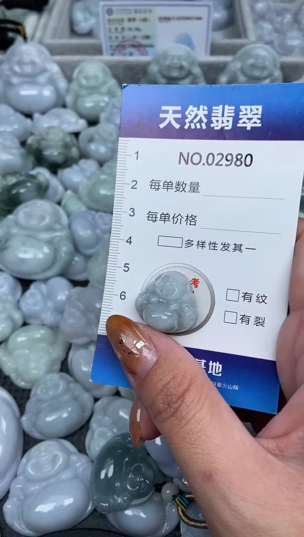 颈饰未镶嵌翡翠纯天然A货翡翠2980