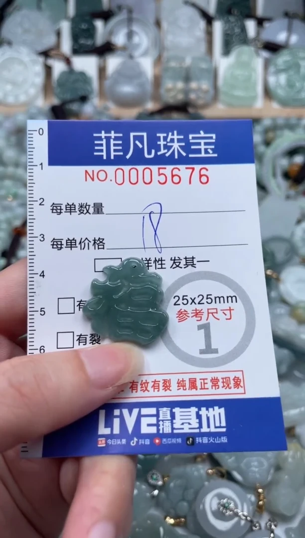 翡翠未镶嵌颈饰00..5676