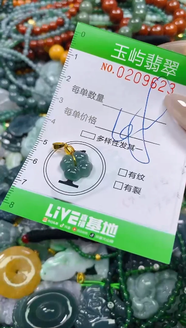 颈饰未镶嵌翡翠闪购0209623