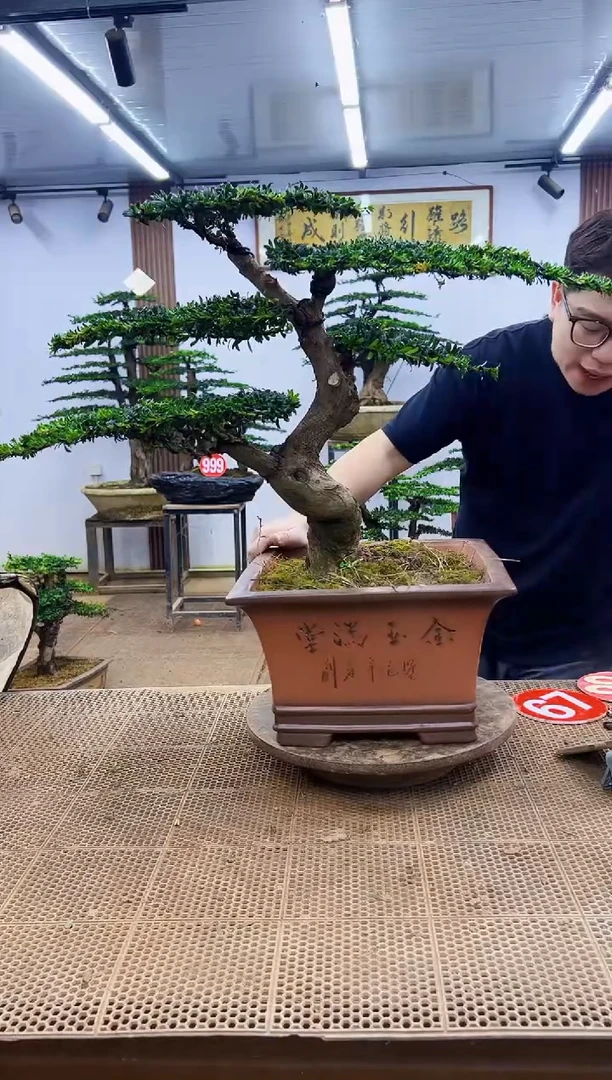 无花朵一物一拍，所见即所得