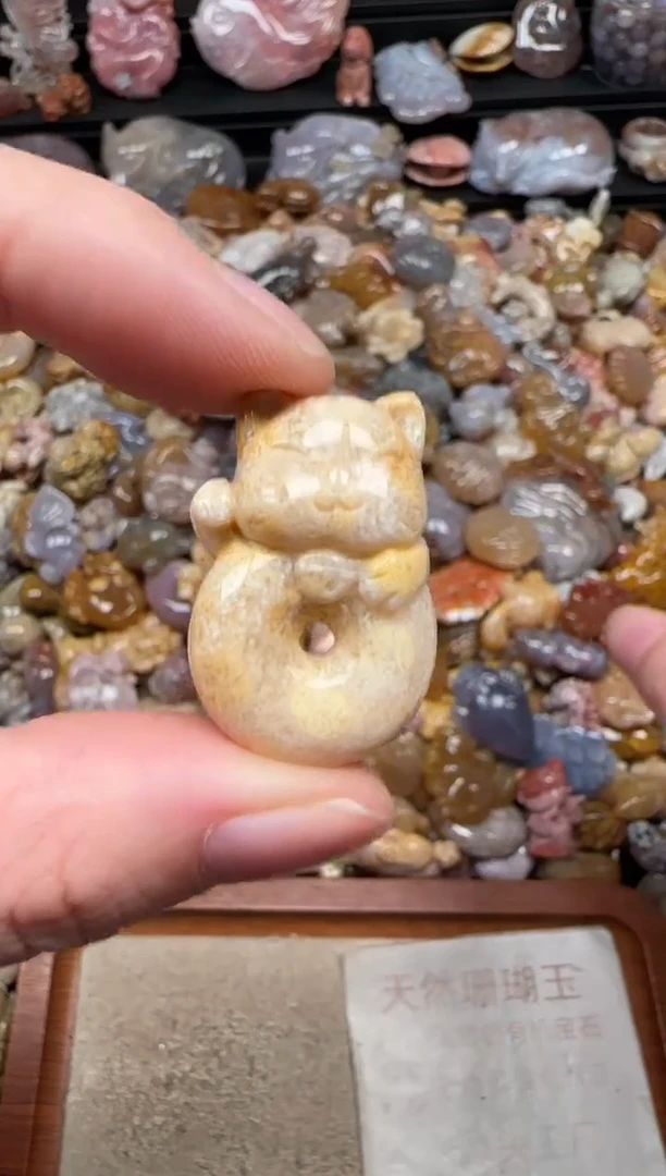 颈饰未镶嵌硅化珊瑚（珊瑚玉）070