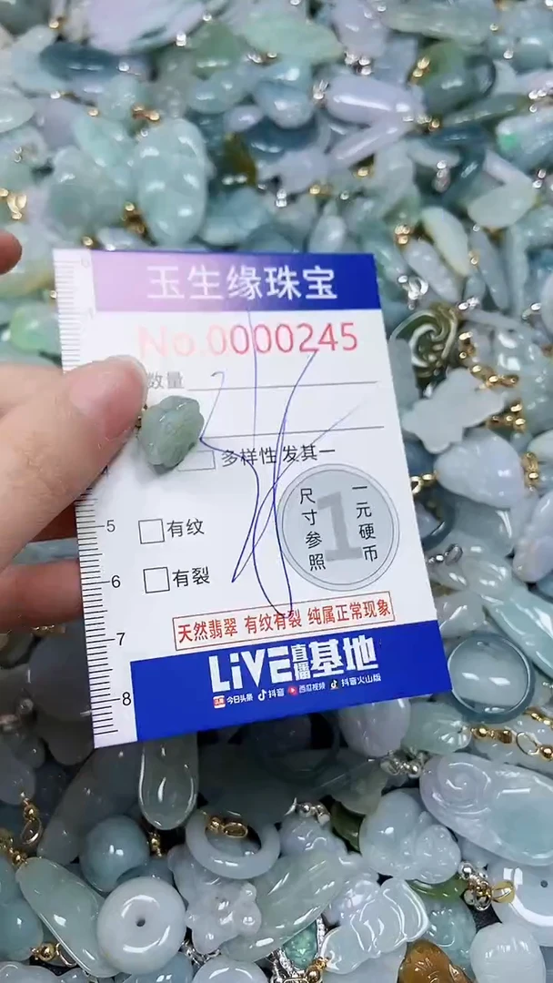 【闪购商品】翡翠颈饰未镶嵌闪购00000245