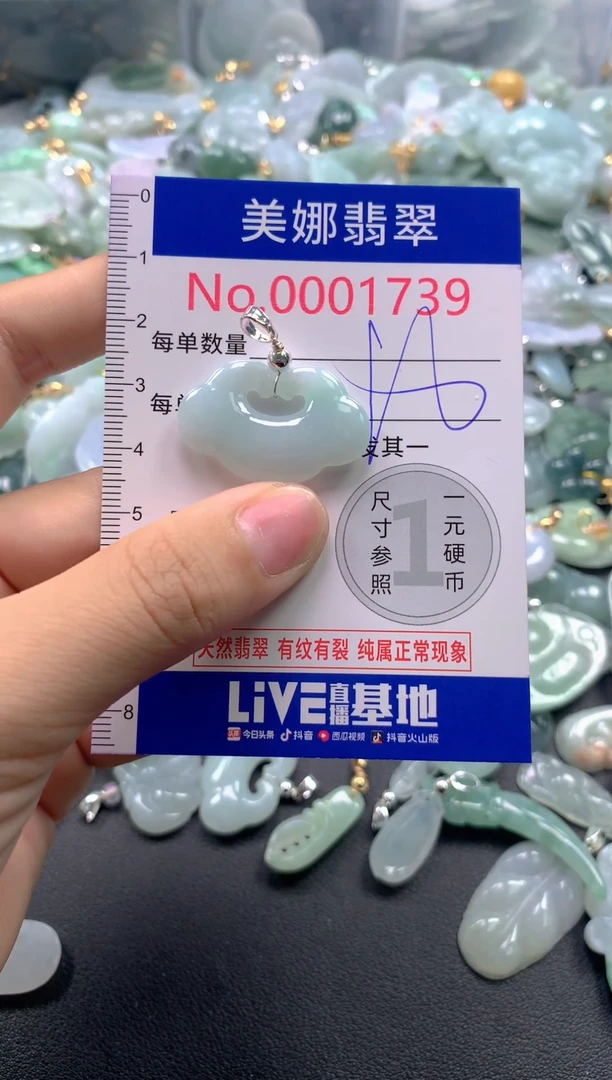 颈饰未镶嵌翡翠1739