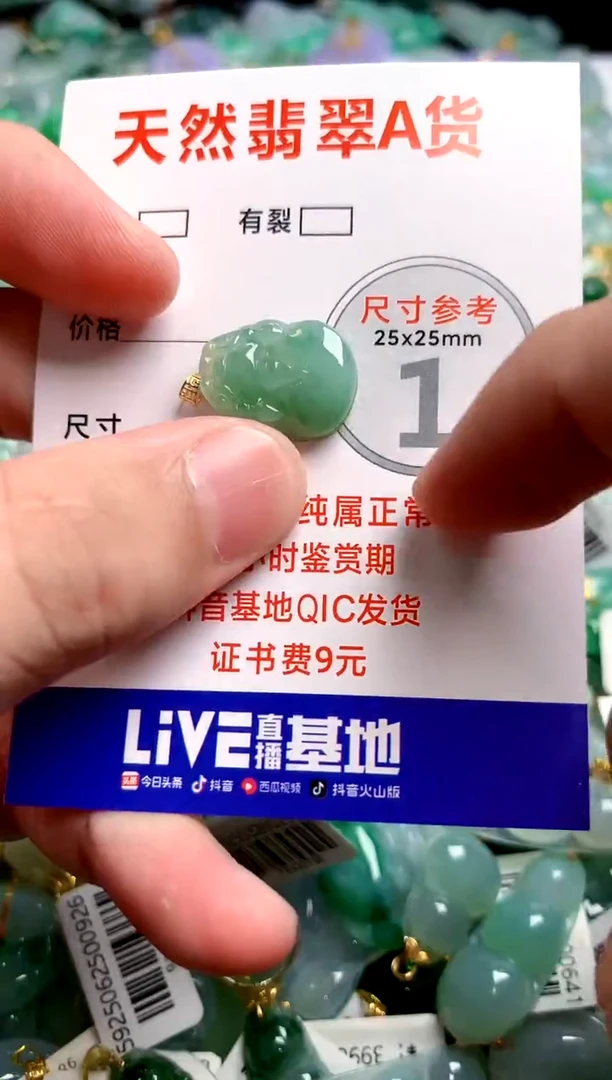 翡翠18K金镶嵌颈饰24002476