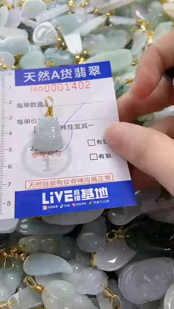 颈饰未镶嵌翡翠纯天然货翡翠