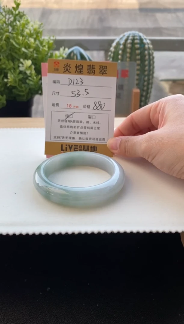 未镶嵌手镯翡翠54.1圈口 编码D123