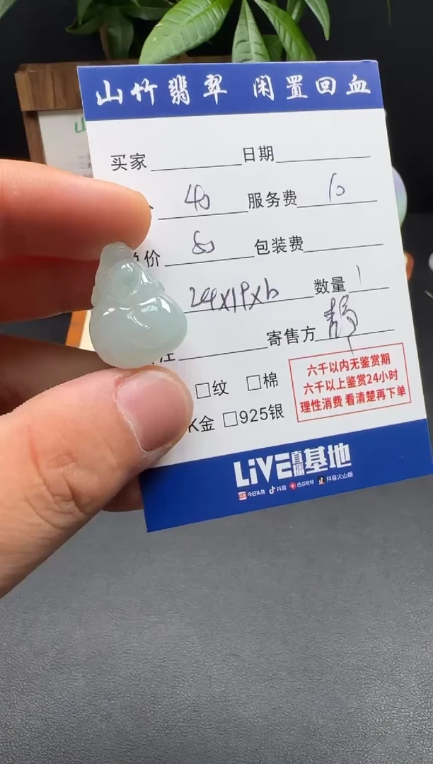 颈饰未镶嵌翡翠3002464