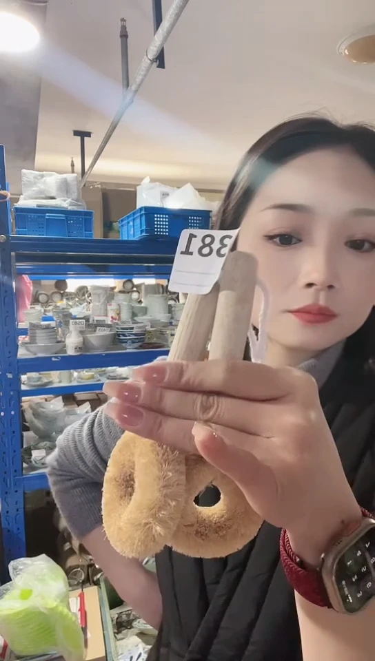 【闪购商品】瓷片进口家用百货棕榈刷两只C381