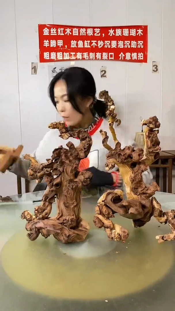 木抖***仪金丝红木 羊蹄甲2