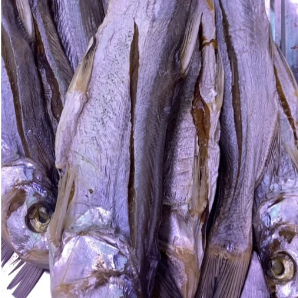 无添加正宗腌制野生苍条