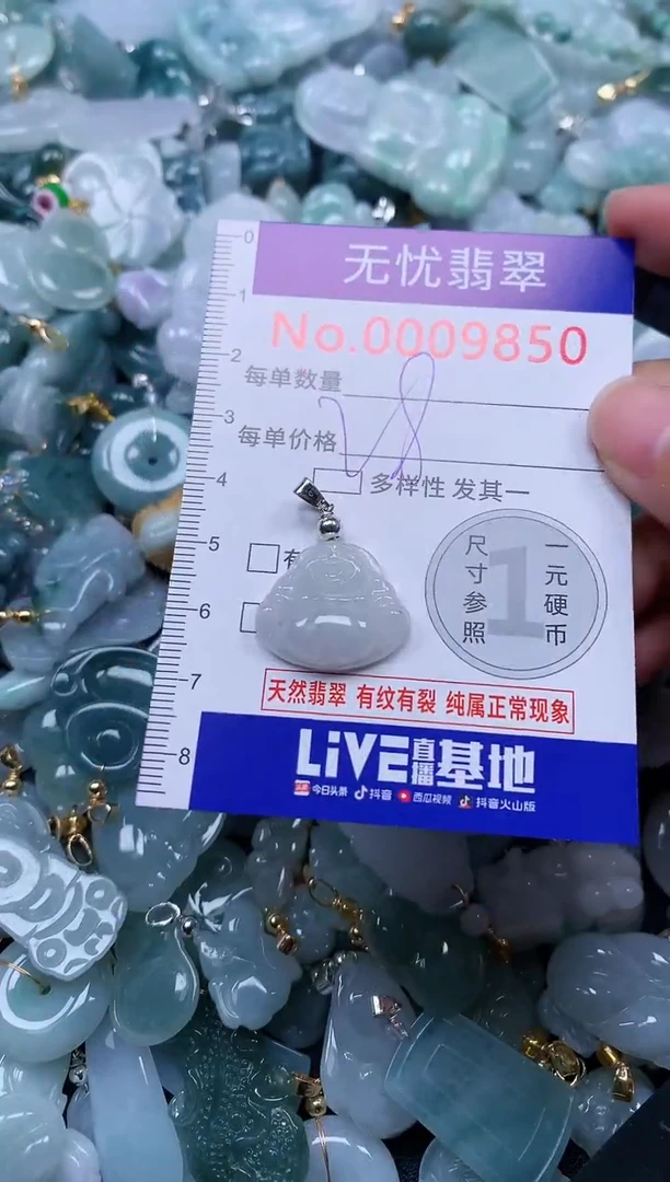 颈饰未镶嵌翡翠9850