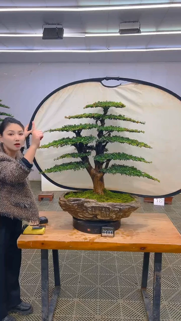 无花朵一物一拍一物一拍