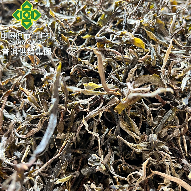 【南糯山专场】2025兰花坡高端头春生茶散茶100克