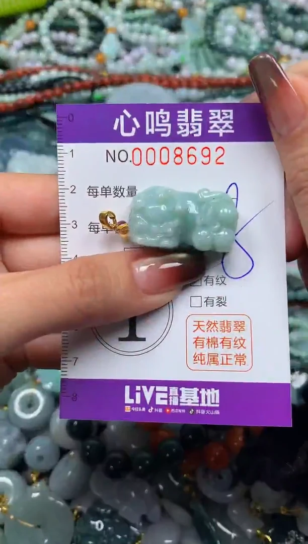 颈饰未镶嵌翡翠闪购008692