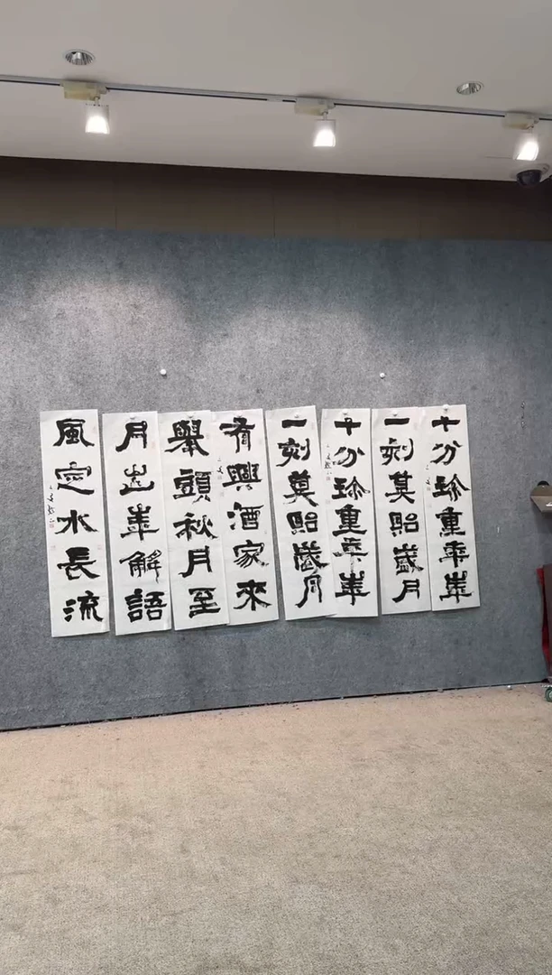 【闪购商品】书法pmw不二轩旗舰店书法WSY28