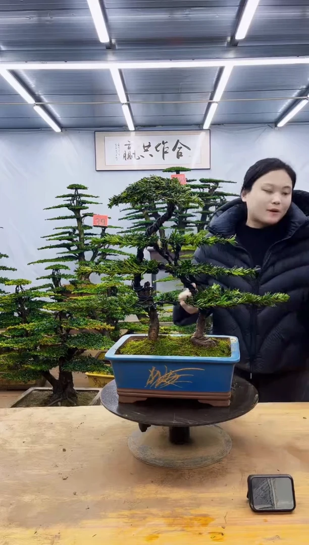 无花朵一物一拍·所见即所得