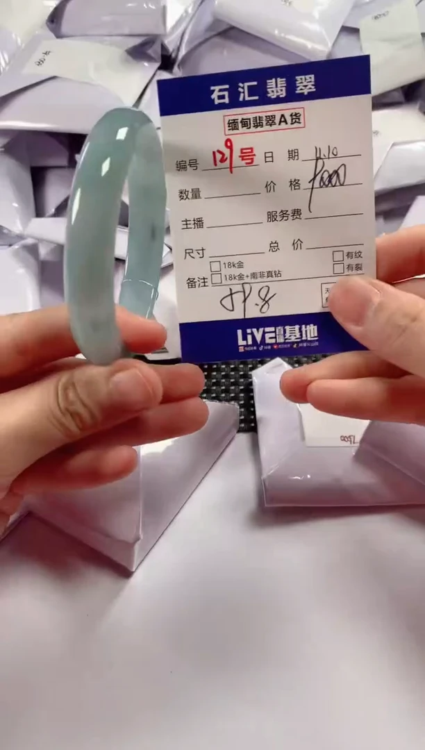 颈饰未镶嵌翡翠1