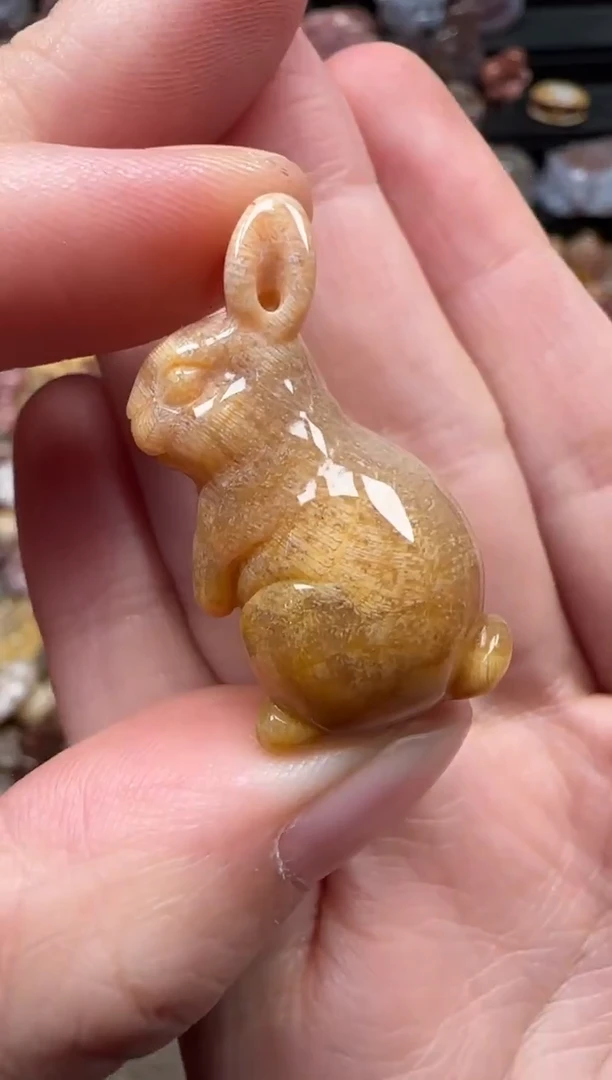 颈饰未镶嵌硅化珊瑚（珊瑚玉）401