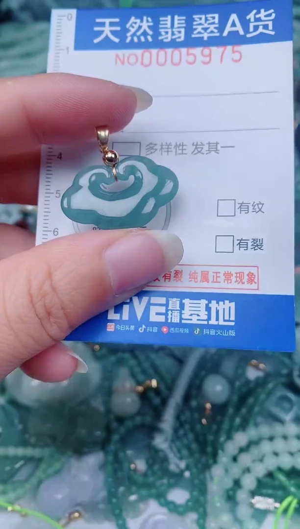 颈饰未镶嵌翡翠00005975
