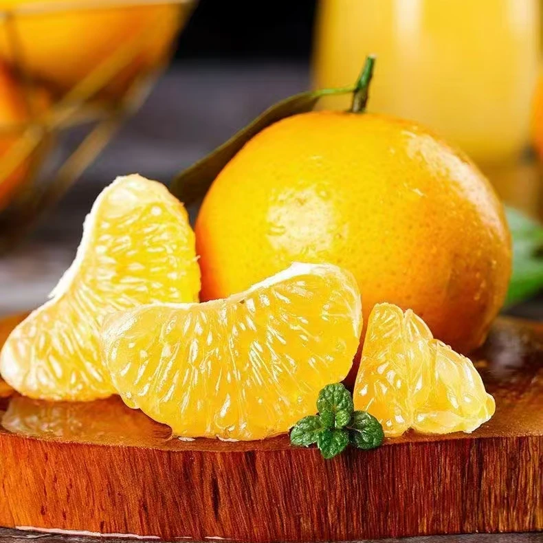 正宗德庆皇帝柑贡柑现摘5斤9斤橘子礼盒精品好吃正宗产地水果