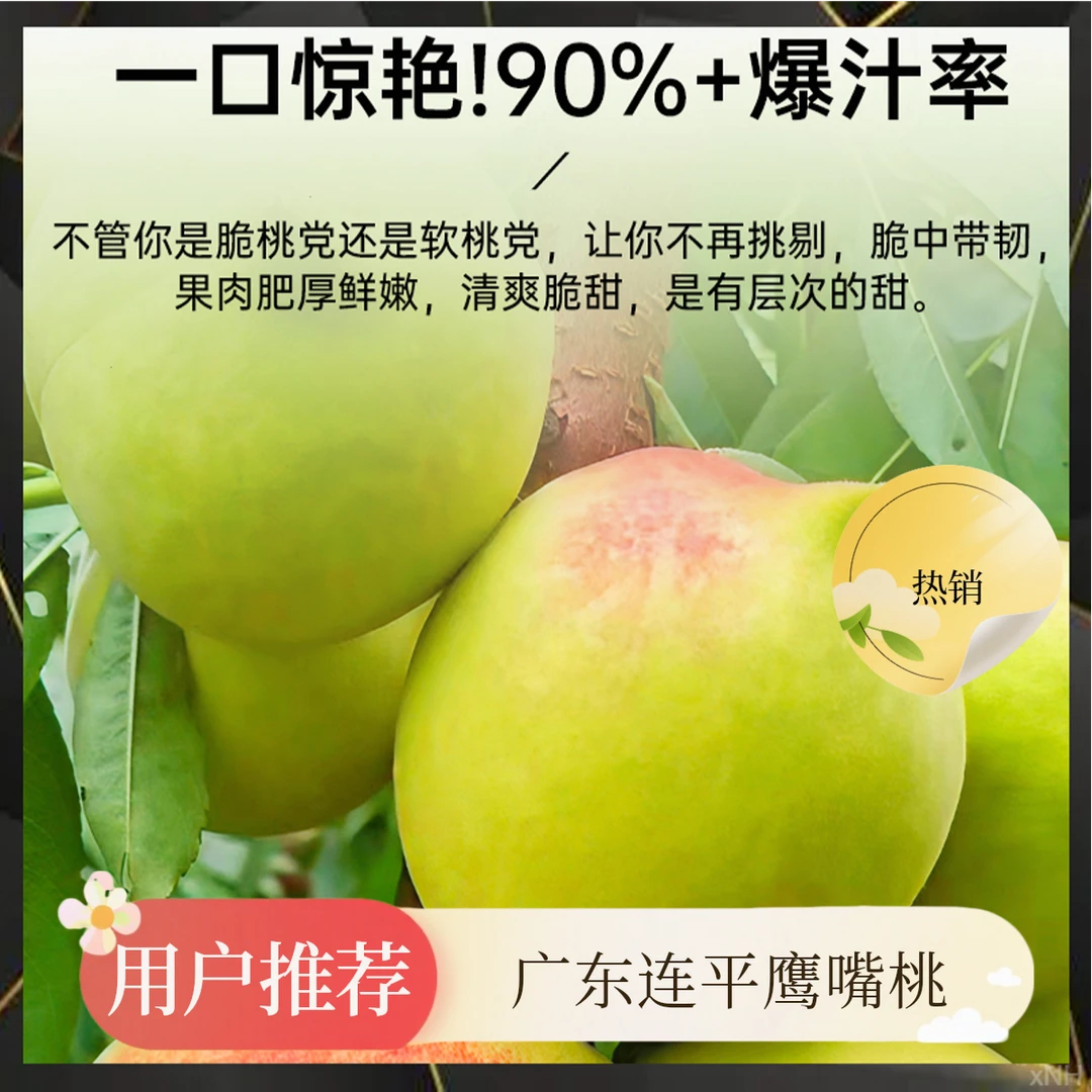 夏季爆款水果连平鹰嘴桃清甜爽口汁水足上坪桃园顺丰直发新鲜桃子