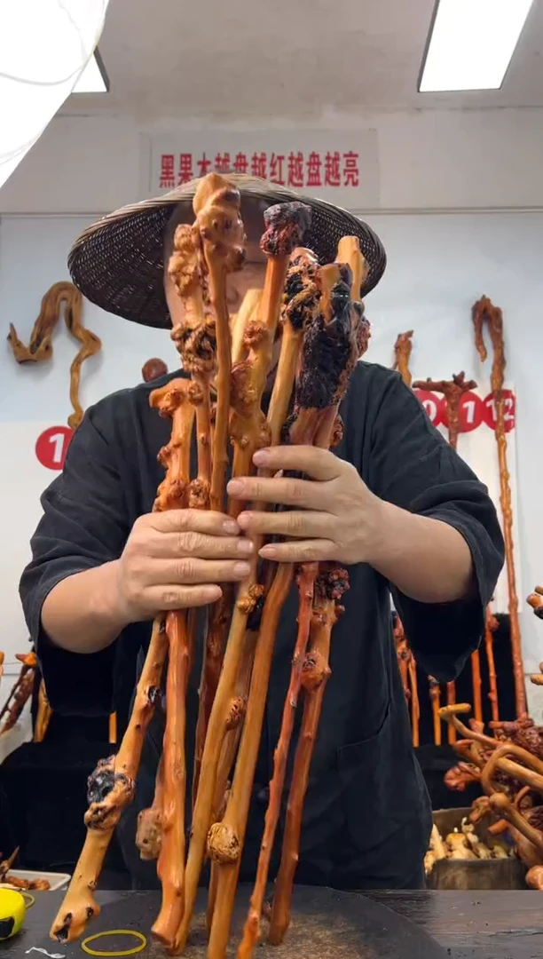 黑果木其他黑果木591