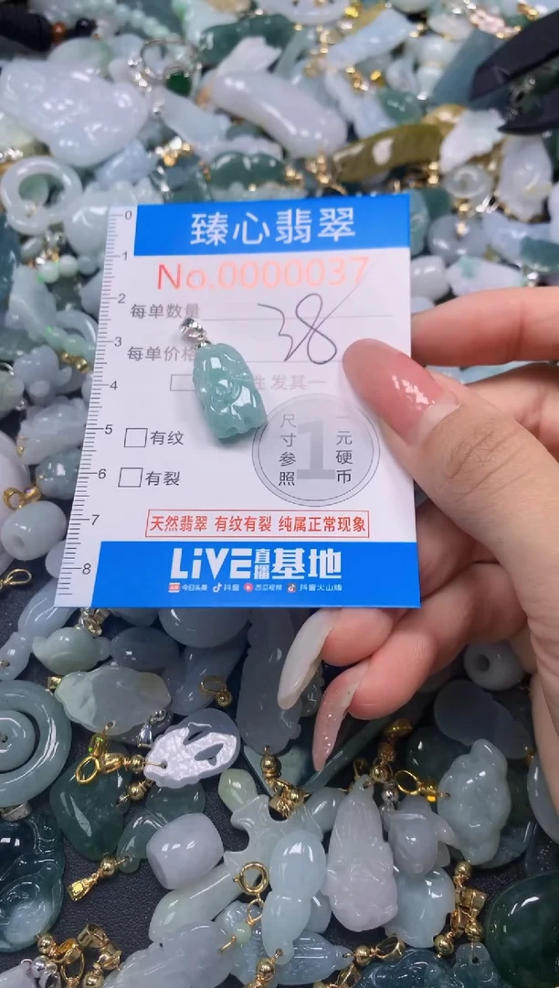 翡翠未镶嵌颈饰037