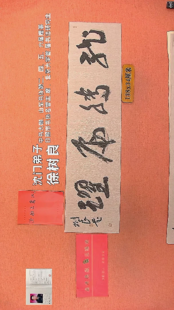 【闪购商品】书法141 徐树良书法作品