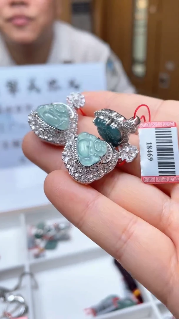 翡翠未镶嵌颈饰多样性发货（只发一件）x4