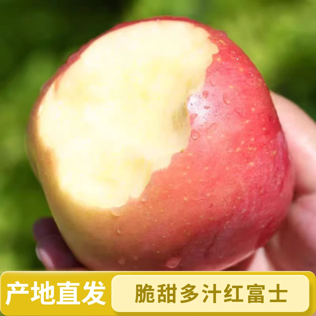 产地直发红富士苹果新鲜应季脆甜多汁水果