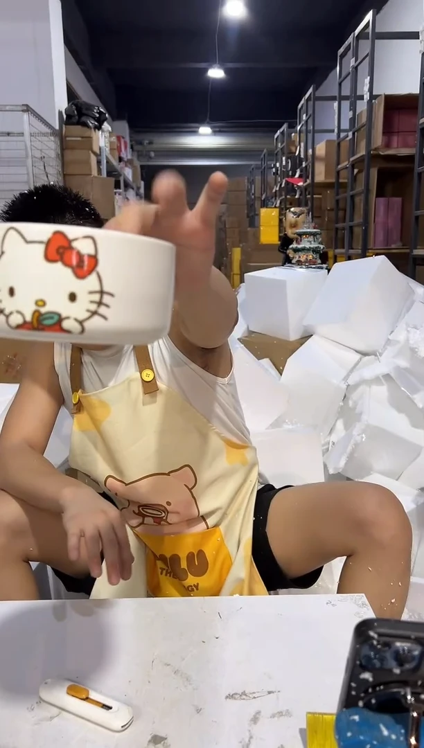 瓷片陶瓷碗白色kt猫碗