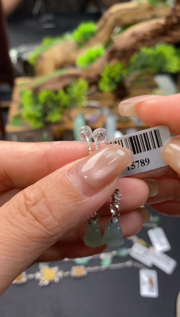 颈饰银S925镶嵌翡翠净货15789