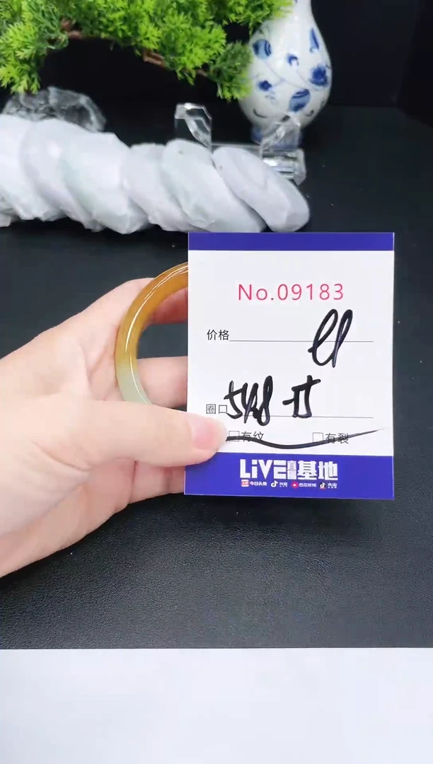 未镶嵌手镯翡翠9183